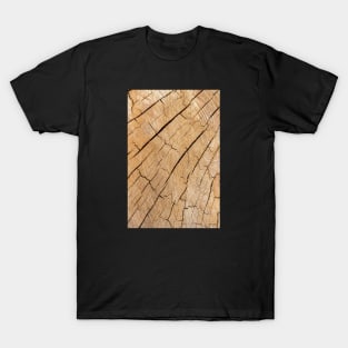 Natural wooden texture T-Shirt